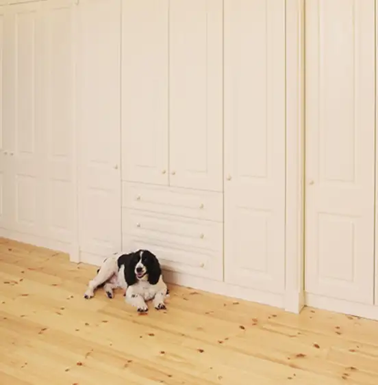 Fitted Wardrobes